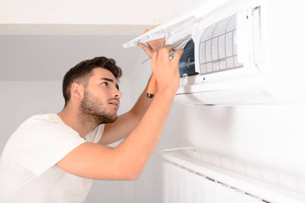 Best Air Duct Mold Removal  in USA